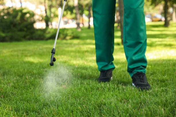 Best Commercial Pest Control Services  in Wayne City, IL