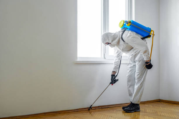 Best Affordable Pest Control Services  in Wayne City, IL