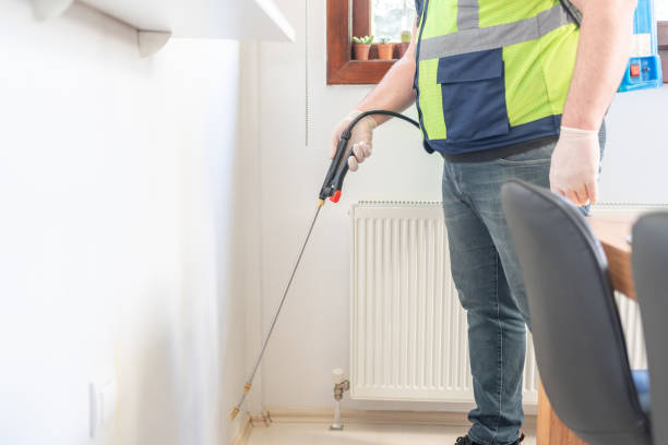 Best Termite Control Services  in Wayne City, IL