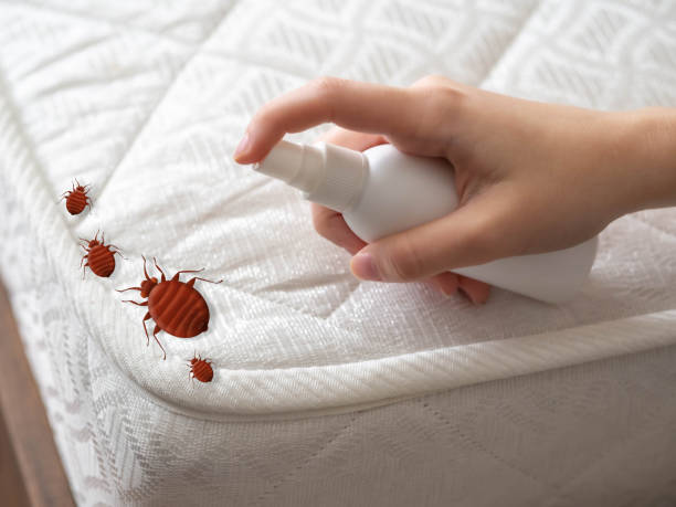 Best Best Pest Control Companies  in Wayne City, IL