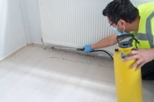Best Flea Control Services  in Wayne City, IL