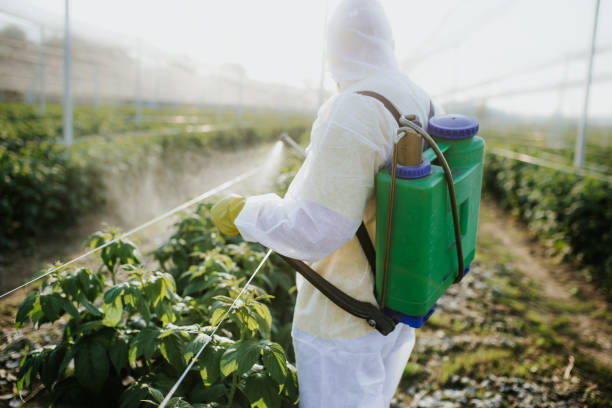 Best Pest Inspection Near Me  in Wayne City, IL